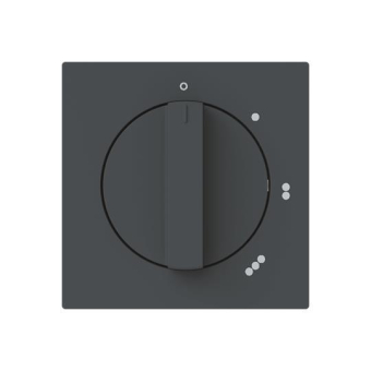 BJ Zentralscheibe         2542 DR/01-45M 