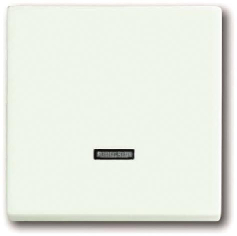 BJ Bedienelement Tastdimmer 6543-884-101 