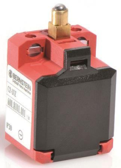 Bernstein Grenztaster         6008101001 