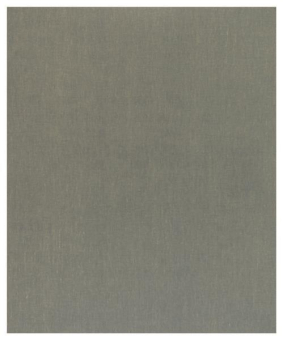 Bosch Schleifblatt C355       2608608H69 