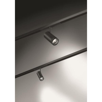 Brumberg PEPA RONDO             43130083 