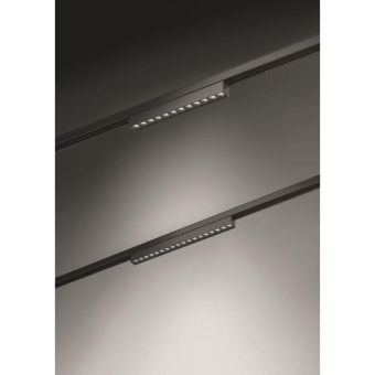 Brumberg PEPA LINEAR            43111083 