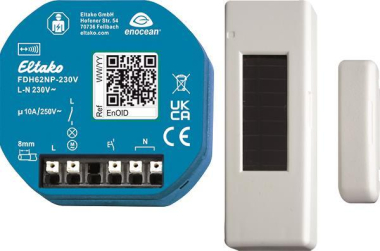 Eltako Funk        FDH62NP-230V +FTKB-rw 