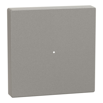 Merten Wippe f.Taster-Modul MEG5210-0460 