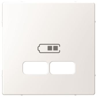 Merten Zentralplatte f.USB  MEG4367-6035 