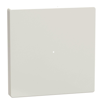 Merten Wippe f.Taster-Modul MEG5210-6035 