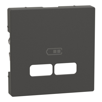 Merten Zentralplatte f.USB  MEG4367-0414 
