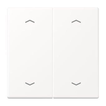 Jung Wippe 2fach m.4       LS 995 MP WWM 