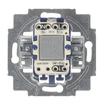 BJ UP Wipp-Taster               2020USGL 