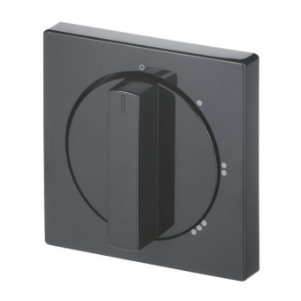 BJ Zentralscheibe Drehs.    2542DR/01-81 