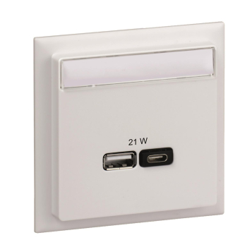 Schneider USB Ladestation A+C 2 INS60522 