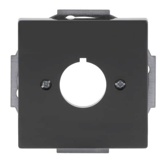 BJ Zentralscheibe m.Tragring     2533-81 