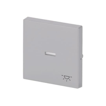 BJ Wippe Symbol Licht future   1789LI-83 