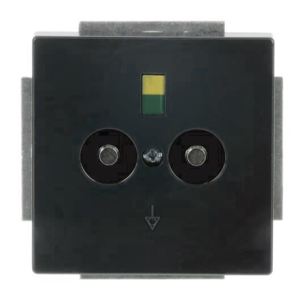 BJ PotenzialAusgleichsStecker  2095UC-81 