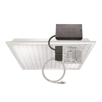 Esylux CELINE-2 PNL 625 DDP   EQ10132537 