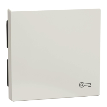 Merten Wippe Schlüssel      MEG3303-0325 