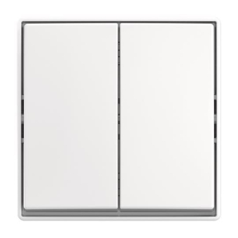 BJ Wippschalter             2601/5 J-524 