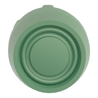 GS Drucktaster flach mit         ZB5AP3S 