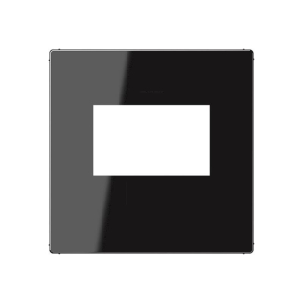 Jung Abdeckung                A1569USBSW 