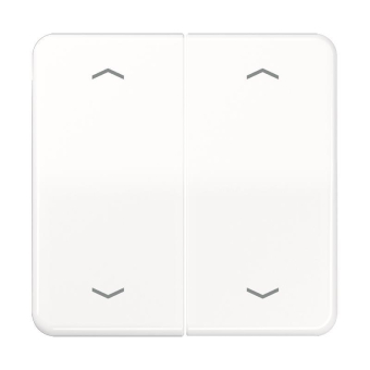 Jung Wippe f.Serientasterpfeile CD102PWW 