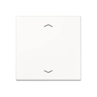 Jung Wippe f.Tasterpfeile        A101PWW 