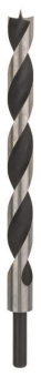 Bosch Maschinenholzbohrer     2608597193 