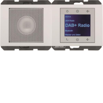 Berker Radio Touch              29807009 