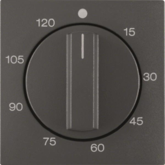 BER Abdeckplatte B1 anthrazit   16331606 