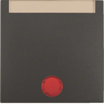 BER S1 Wippe Kontroll mit       16281606 