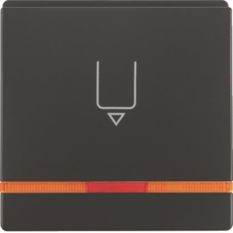 Berker Hotelcard-Schaltaufsatz  16406086 