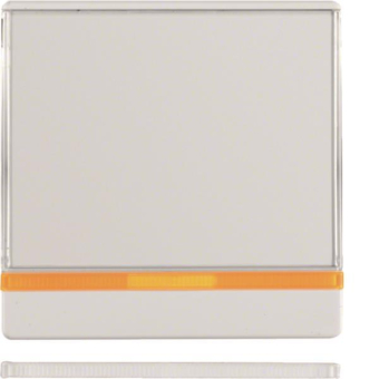 Berker Wippe m.2 beiliegenden   16966089 