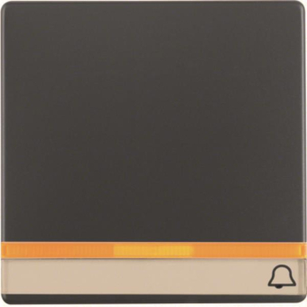 Berker Wippe m. 2 beiliegenden  16286076 