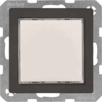 Berker LED-Signallicht RGB      29516086 