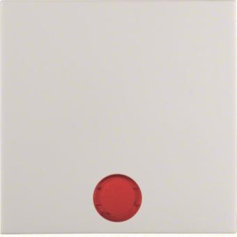 BER Berker 16298999 Wippe       16298999 