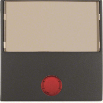 Berker Wippe m.5 beiliegenden   16961606 