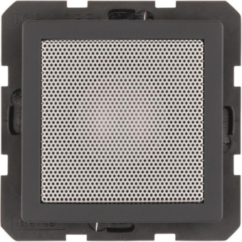 Berker Lautsprecher Q.1/Q.3     28826086 