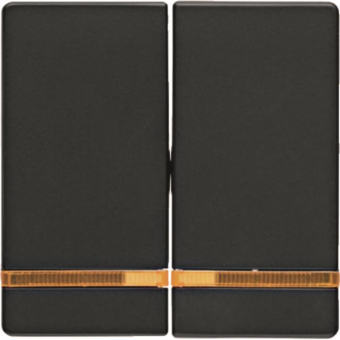 Berker Wippen m. Linse Q.1/Q.3  16276086 