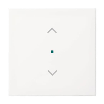 BJ Wippe 1-fach Jalousie     6232-10-914 