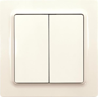 Eltako Funktaster pws        F4T55EOR-pg 