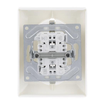 BJ SCHUKO  Doppelsteckdose  202 EUJB-914 