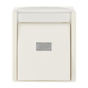 BJ APWG Wipptaster Schlie. 2621WN-54-201 