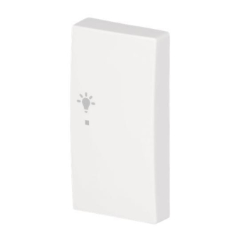 BJ Wippe/R 2-fach Licht      6231-22-914 
