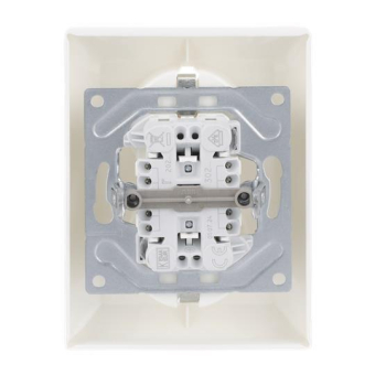 BJ SCHUKO  Doppelsteckdose   202 EUJ-914 