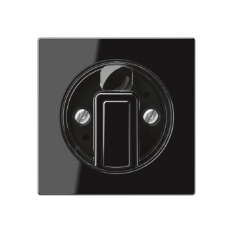 Jung Abdeckung f.Drehschalter  A1541BFSW 