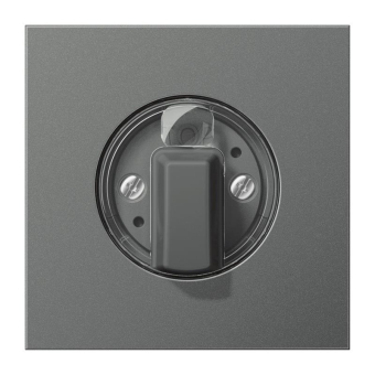 JG Abdeckung f. Drehschalter    AL1941AN 