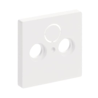 BJ Zentralscheibe f.            1743-884 