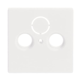 BJ Zentralscheibe f.            1743-884 