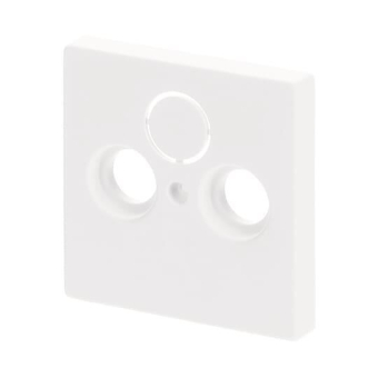 BJ Zentralscheibe f.            1743-884 