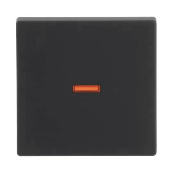 BJ future linear Wippe Kontroll 1789-885 