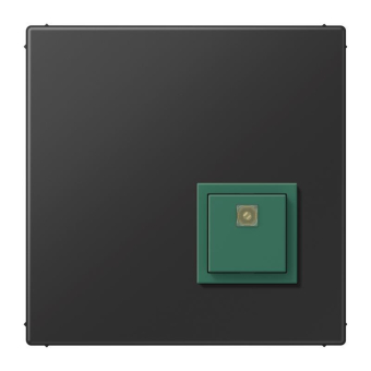 Jung Abstelltaster        NRSLS0834ATSWM 